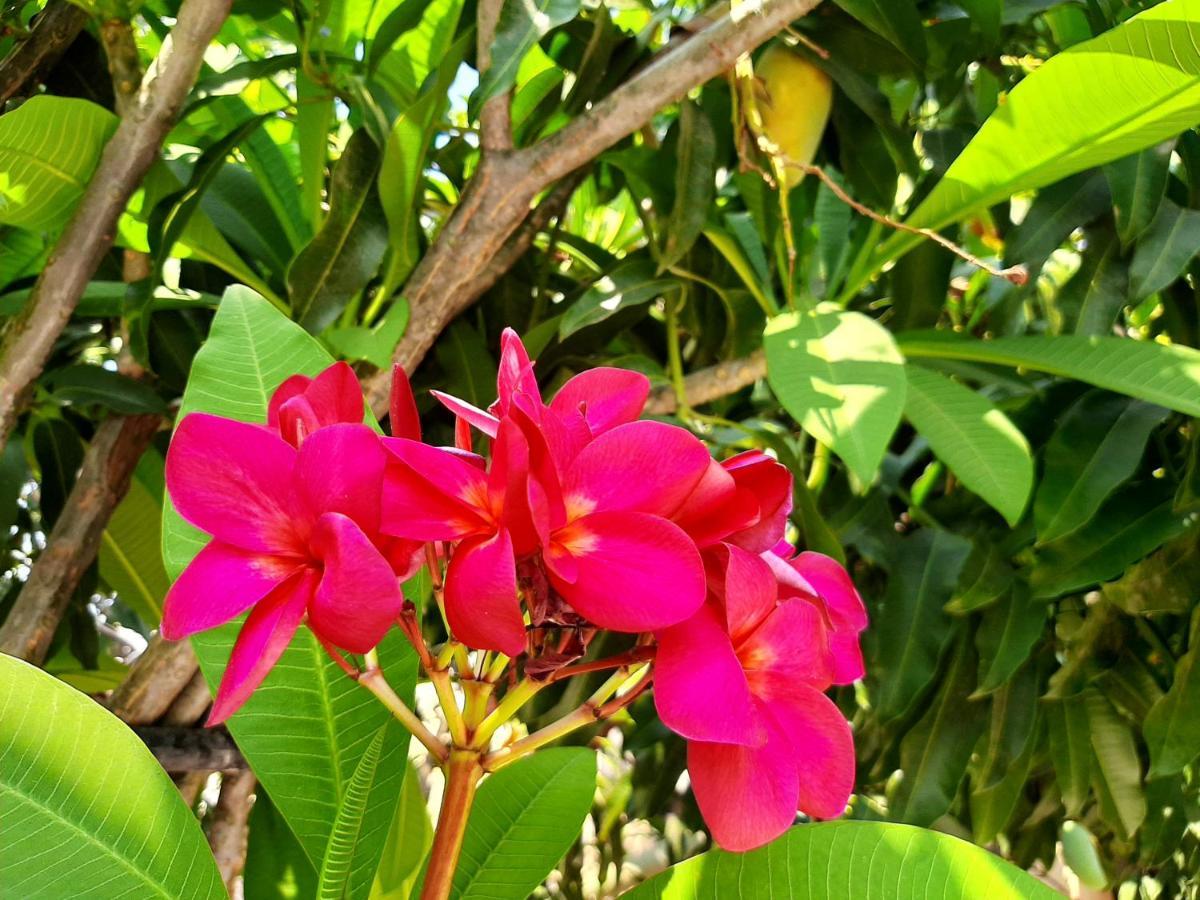 Casa Vista Hermosa מראה חיצוני תמונה